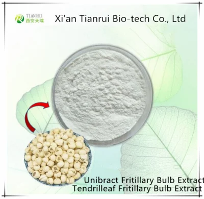 Estratto naturale al 100% di Bulbus Fritillariae Cirrhosae per fitoterapia